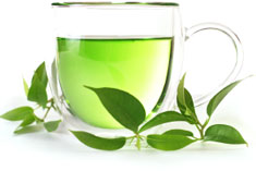 green tea for weight loss